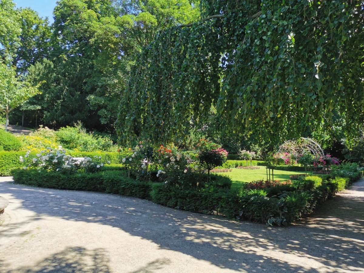 Apartment Quirin Neuss